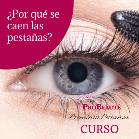 Probeaute Course: Why do eyelashes fall out?