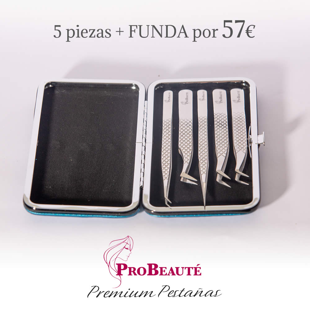 Juego de 5 pinzas + funda magnética con descuento