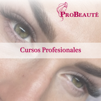 Cursos profesionales